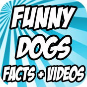 Dogs™ Dogs™